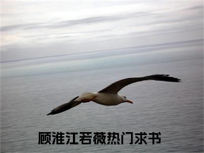 顾淮江若薇（顾淮江若薇）全文免费阅读无弹窗大结局_顾淮江若薇小说全文免费阅读最新章节列表_笔趣阁（顾淮江若薇）