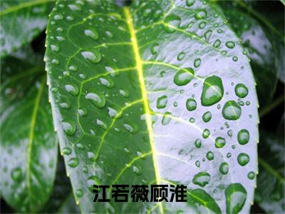 江若薇顾淮(江若薇顾淮)抖音热推小说全集无删减_(江若薇顾淮免费阅读全文大结局)最新章节列表_笔趣阁