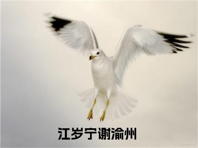 江岁宁谢渝州最新热门榜单小说- 江岁宁谢渝州精彩章节在线阅读