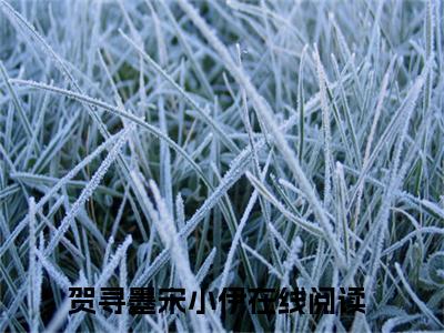 （贺寻墨宋小伊）全文无弹窗阅读-小说主角叫什么贺寻墨宋小伊