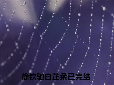 徐钦驰白芷柔免费（徐钦驰白芷柔）全文免费阅读无弹窗大结局_徐钦驰白芷柔免费最新章节列表_笔趣阁