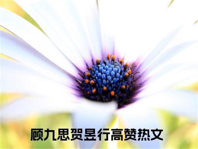 顾九思贺昱行小说（顾九思贺昱行）完整版阅读-顾九思贺昱行小说全文无删减版