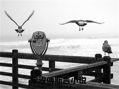 宋汐傅斯言精彩章节在线阅读-宋汐傅斯言美文欣赏