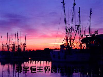 郑宇恒王怀薇（郑宇恒王怀薇）完整版全文全章节阅读郑宇恒王怀薇