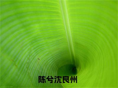 陈兮沈良州小说（陈兮沈良州）全文免费阅读大结局无删减_（陈兮沈良州）陈兮沈良州小说最新章节列表_笔趣阁（陈兮沈良州）