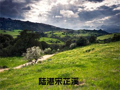 陆湛宋芷溪(陆湛宋芷溪)小说全文免费阅读无弹窗大结局_（陆湛宋芷溪）陆湛宋芷溪最新章节列表笔趣阁（陆湛宋芷溪）