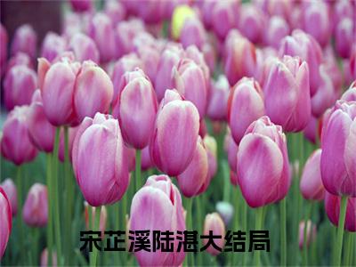 宋芷溪陆湛（宋芷溪陆湛）全文免费阅读无弹窗大结局_宋芷溪陆湛全文免费完结版阅读（宋芷溪陆湛）