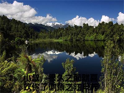 小叔，很久之前就喜欢你了正版小说全文阅读 谢薄之江月柠无删减版