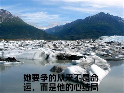 她要争的从来不是命运，而是他的心全文免费阅读大结局-何嘉冉薄司景完整版无弹窗