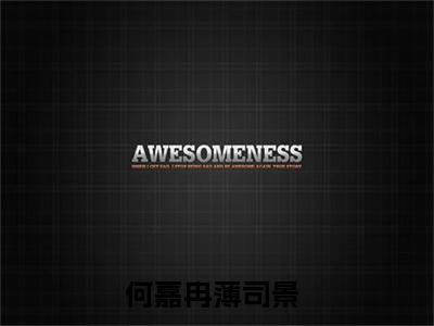 她要争的从来不是命运，而是他的心（何嘉冉薄司景）全文免费阅读无弹窗大结局_（她要争的从来不是命运，而是他的心）何嘉冉薄司景全文阅读-笔趣阁（她要争的从来不是命运，而是他的心）