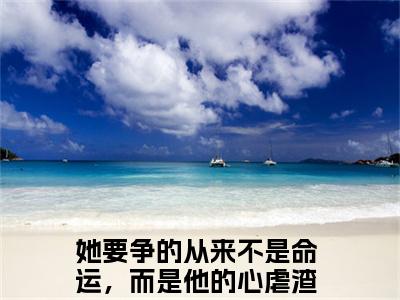主角为她要争的从来不是命运，而是他的心的小说（何嘉冉薄司景）大结局免费阅读-何嘉冉薄司景全文免费阅读笔趣阁