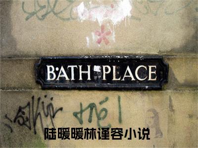 小说完整版陆暖暖林谨容大结局-陆暖暖林谨容是什么书《陆暖暖林谨容》