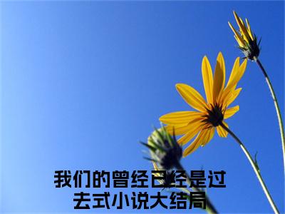 姜芯苒时若宸（我们的曾经已经是过去式）全文免费阅读无弹窗大结局_(我们的曾经已经是过去式)姜芯苒时若宸免费阅读无弹窗最新章节列表_笔趣阁（姜芯苒时若宸）