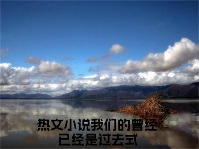 我们的曾经已经是过去式小说在线阅读全文无弹窗_时若宸姜芯苒小说最新全文完整无删减版