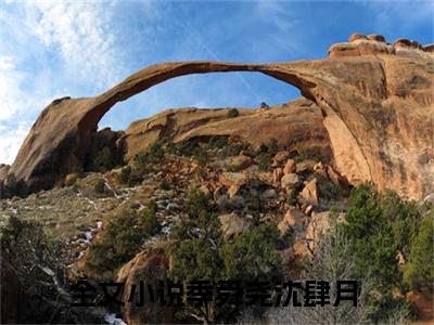 季舜尧沈肆月(季舜尧沈肆月)全文免费阅读无弹窗大结局_(季舜尧沈肆月)免费阅读无弹窗最新章节列表