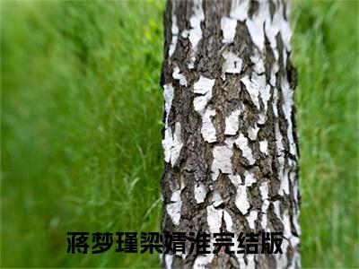 蒋梦瑾梁婧淮小说（蒋梦瑾梁婧淮）全文免费阅读无弹窗-蒋梦瑾梁婧淮最新章节列表-笔趣阁