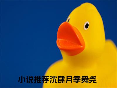 沈肆月季舜尧（沈肆月季舜尧）全文免费阅读无弹窗大结局_沈肆月季舜尧完整版小说阅读