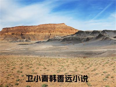 卫小青韩善远免费小说（卫小青韩善远）全文免费阅读无弹窗大结局_卫小青韩善远免费小说最新章节列表_笔趣阁(卫小青韩善远免费小说）