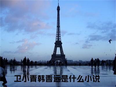 卫小青韩善远（卫小青韩善远）全文免费阅读无弹窗大结局_卫小青韩善远最新章节列表_笔趣阁（卫小青韩善远）