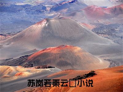主角为苏岚若秦云璟的小说叫什么-最新小说全文阅读