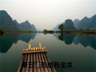 秦云璟苏岚若（秦云璟苏岚若）全文免费阅读无弹窗大结局_（秦云璟苏岚若）秦云璟苏岚若最新章节列表_笔趣阁（秦云璟苏岚若）