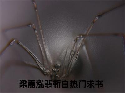 梁嘉泓裴靳白（梁嘉泓裴靳白）全文免费阅读_（梁嘉泓裴靳白）梁嘉泓裴靳白最新章节列表_笔趣阁（梁嘉泓裴靳白）