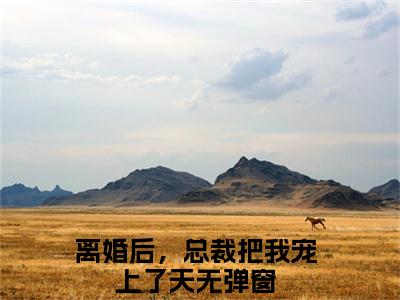 慕言旭秦安安（离婚后，总裁把我宠上了天）全文免费阅读无弹窗大结局_离婚后，总裁把我宠上了天免费最新章节列表_笔趣阁