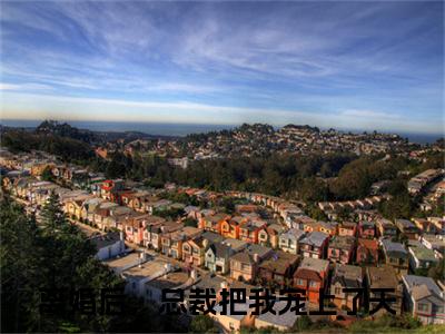 慕言旭秦安安（离婚后，总裁把我宠上了天）全文免费阅读无弹窗大结局_离婚后，总裁把我宠上了天（慕言旭秦安安免费阅读）_笔趣阁