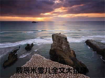 顾辰米雪儿小说（顾辰米雪儿）全文免费阅读无弹窗大结局_顾辰米雪儿最新章节列表_