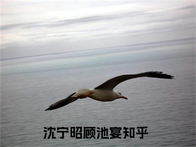 沈宁昭顾池宴小说免费版最新更新阅读-沈宁昭顾池宴全文免费阅读