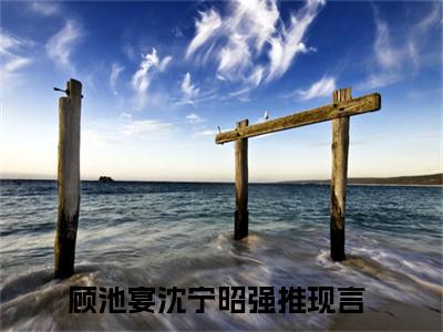 顾池宴沈宁昭(顾池宴沈宁昭）小说全文免费阅读无弹窗大结局_（顾池宴沈宁昭）顾池宴沈宁昭小说全文免费阅读最新章节列表笔趣阁（顾池宴沈宁昭）