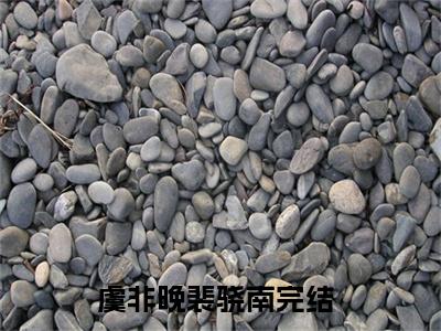 这一刻眼中世界的色彩慢慢褪去，最终变为黑白虞非晚裴骁南全文免费阅读（虞非晚裴骁南免费阅读无弹窗）这一刻眼中世界的色彩慢慢褪去，最终变为黑白精彩小说阅读_笔趣阁（虞非晚裴骁南）