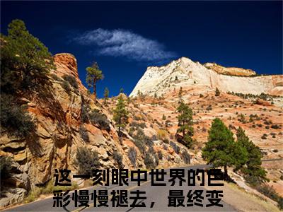 虞非晚裴骁南小说主角是（这一刻眼中世界的色彩慢慢褪去，最终变为黑白）全文完整版免费阅读最新章节列表_这一刻眼中世界的色彩慢慢褪去，最终变为黑白小说在线阅读