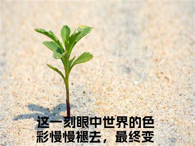 虞非晚裴骁南(这一刻眼中世界的色彩慢慢褪去，最终变为黑白)全文免费阅读无弹窗大结局_虞非晚裴骁南小说免费阅读全文大结局最新章节列表_笔趣阁