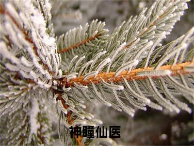 神瞳仙医（许川）全网首发小说-小说许川（神瞳仙医）完整版全文在线赏析