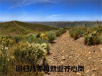 齐心岚（回归八零再就业）全文免费阅读无弹窗大结局_(齐心岚)免费阅读无弹窗最新章节列表_笔趣阁（回归八零再就业）
