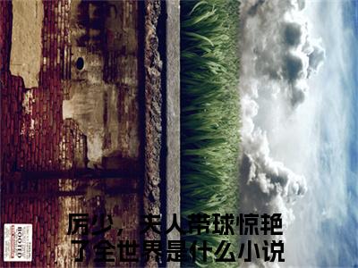 厉少，夫人带球惊艳了全世界(南向婉厉寒风)全文免费阅读无弹窗大结局_(南向婉厉寒风免费阅读全文大结局)最新章节列表_笔趣阁（厉少，夫人带球惊艳了全世界）