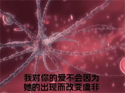 虞非晚裴骁南（我对你的爱不会因为她的出现而改变）全文免费阅读无弹窗大结局_虞非晚裴骁南最新章节列表_笔趣阁（我对你的爱不会因为她的出现而改变）