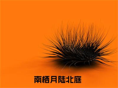南栖月陆北庭（诱吻月亮)全文免费阅读无弹窗大结局_南栖月陆北庭全文完整无删减版免费阅读（诱吻月亮）