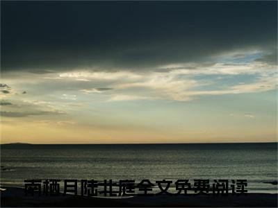 诱吻月亮（南栖月陆北庭）小说全文大结局-（南栖月陆北庭）全章节完整版在线阅读