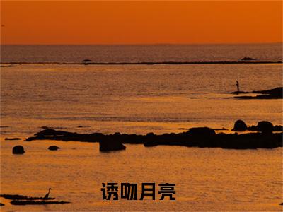 南栖月陆北庭(诱吻月亮)全文免费阅读无弹窗大结局_(南栖月陆北庭)最新章节列表_诱吻月亮