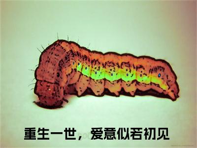 黎锦儿顾青云小说(重生一世，爱意似若初见)全文免费阅读无弹窗大结局_(黎锦儿顾青云小说免费阅读)重生一世，爱意似若初见无弹窗最新章节列表_笔趣阁（重生一世，爱意似若初见）