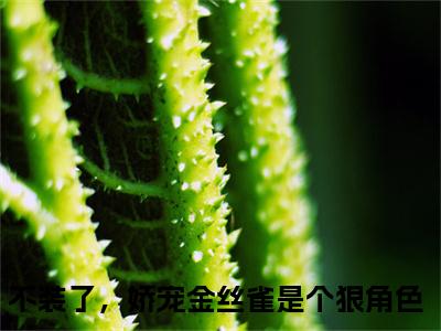 周宁宋祈年全文免费阅读（不装了，娇宠金丝雀是个狠角色）全文无删减版在线阅读_周宁宋祈年全文免费阅读最新章节列表_笔趣阁