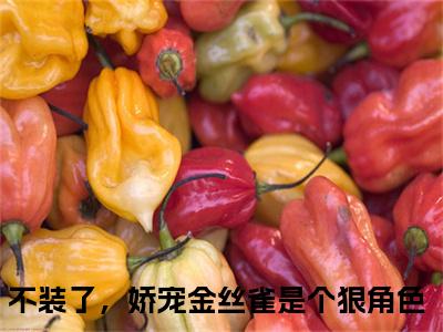 不装了，娇宠金丝雀是个狠角色（周宁宋祈年）全文小说免费阅读_（周宁宋祈年）不装了，娇宠金丝雀是个狠角色最新章节列表_笔趣阁（不装了，娇宠金丝雀是个狠角色）