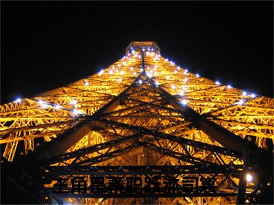 秦聪跃沐司裳小说免费大结局全集免费阅读 秦聪跃沐司裳章节目录