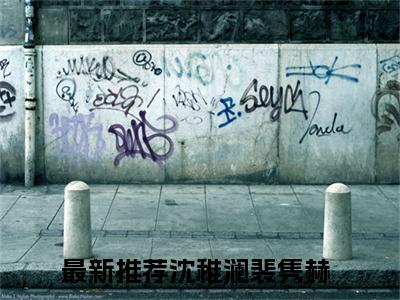沈稚澜裴隽赫在线阅读（沈稚澜裴隽赫）全文免费阅读无弹窗大结局_沈稚澜裴隽赫免费最新章节列表_笔趣阁