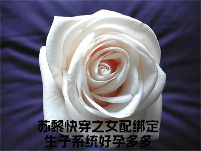 （苏黎）热门美文阅读_热门小说快穿之女配绑定生子系统好孕多多主人公是（苏黎）最新章节限时观看_笔趣阁
