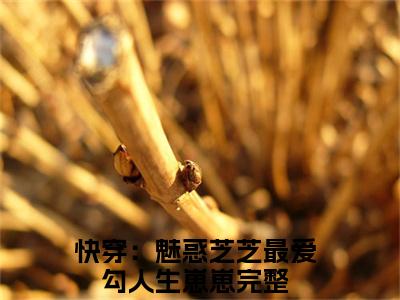 芝芝全文（快穿：魅惑芝芝最爱勾人生崽崽小说）全文免费阅读无弹窗大结局_芝芝免费最新章节列表_笔趣阁（快穿：魅惑芝芝最爱勾人生崽崽小说）