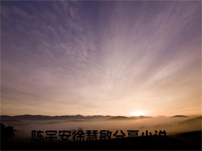 陈宇安徐慧敏是什么小说 陈宇安徐慧敏正版小说免费阅读_笔趣阁