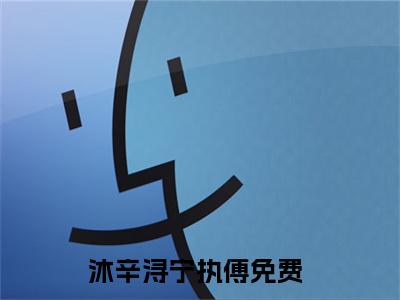 沐辛浔宁执傅在哪看无弹窗全文